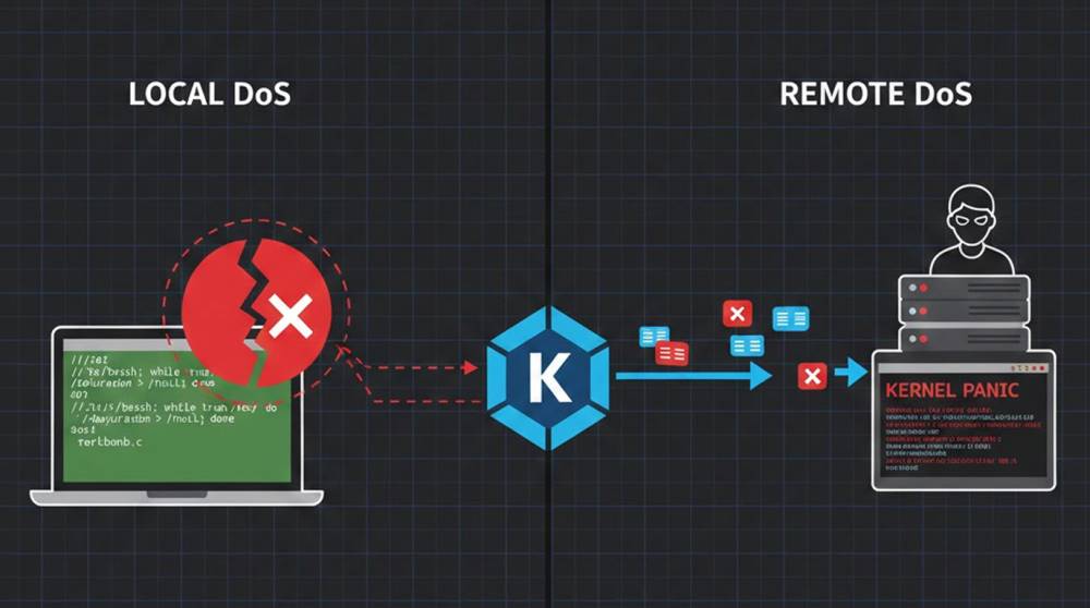 Local vs Remote Kernel DoS Exploits